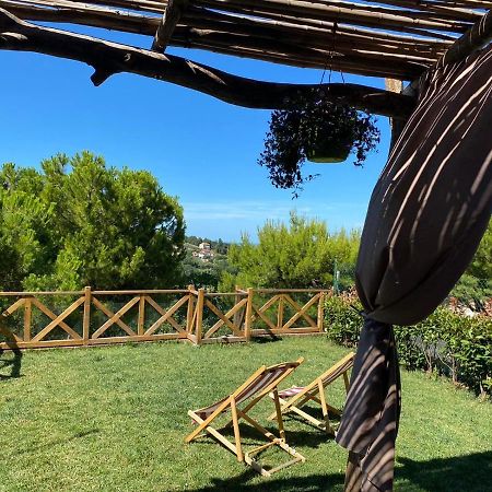 La Trave Bed & Breakfast Montecosaro  Dış mekan fotoğraf