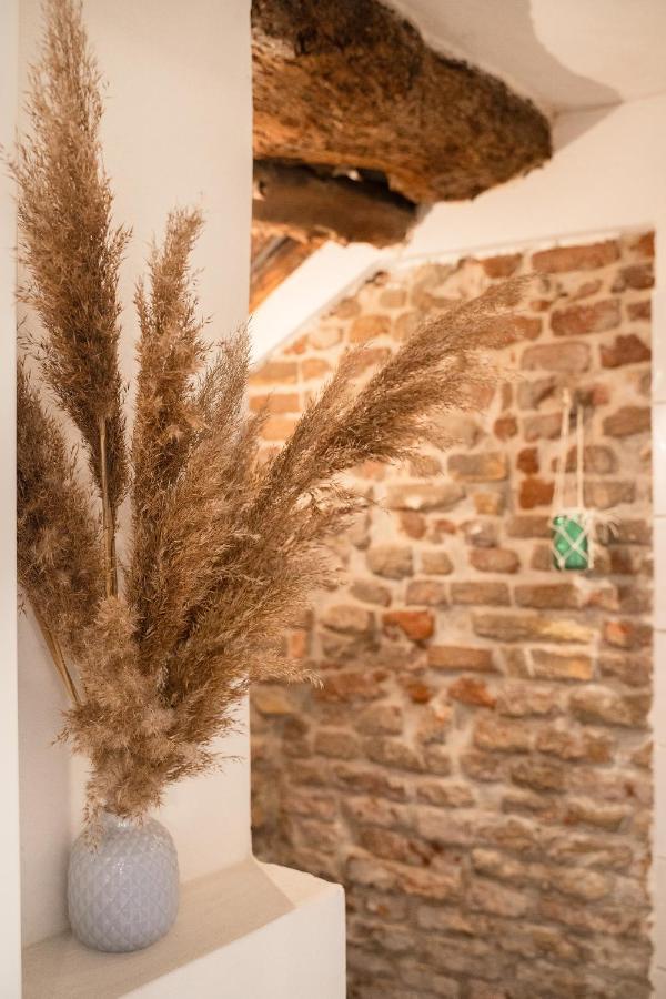 La Trave Bed & Breakfast Montecosaro  Dış mekan fotoğraf